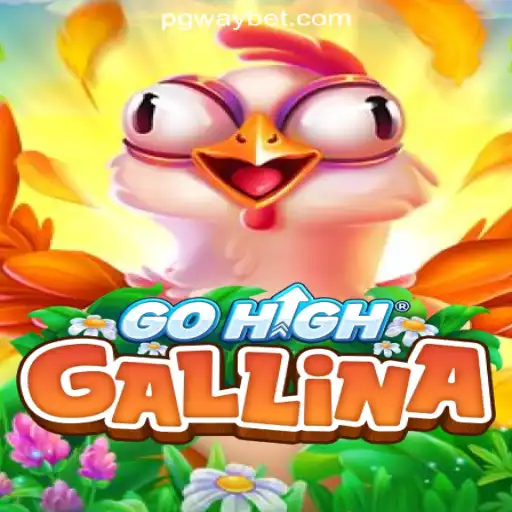 Exploring GoHighGallina: The Innovative Game Sweeping Brazil